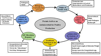 <mark class="highlighted">Formic</mark> Acid as an Antimicrobial for Poultry Production: A Review